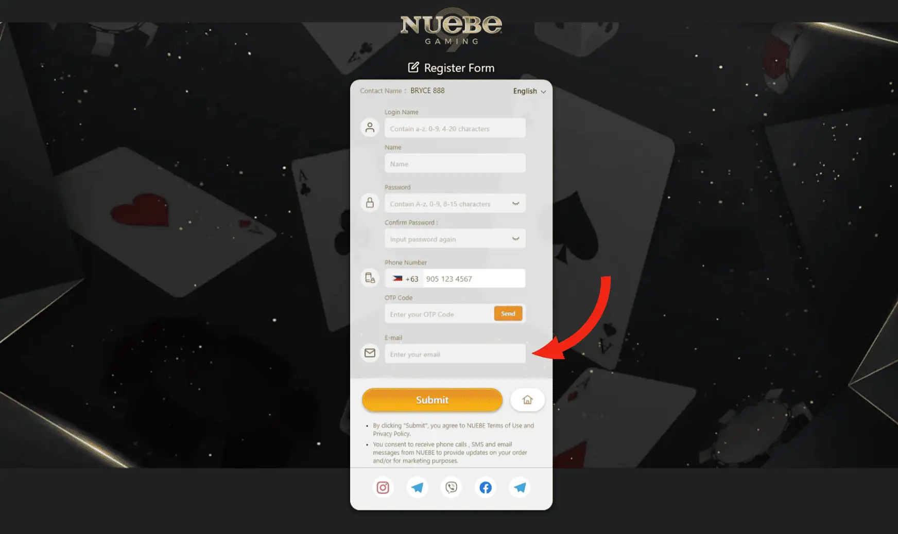 The registration form on Nuebe Gaming's website with a focus on the 'Email' field, crucial for account recovery and password reset.
